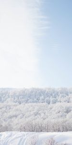 Trees,Sky,Snow,Nature