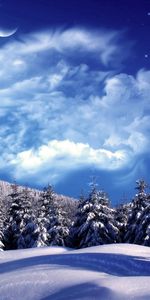 Trees,Sky,Snow,Nature,Clouds,Drifts,Ate,Moon