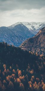 Trees,Sky,Vertex,Tops,Snowbound,Snow Covered,Nature,Mountains,Autumn