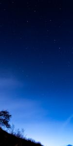 Trees,Slope,Dark,Starry Sky,Night