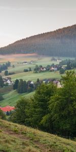 Trees,Slope,Nature,Forest,House