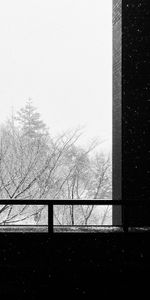 Trees,Snow,Building,Miscellanea,Bw,Miscellaneous,Chb