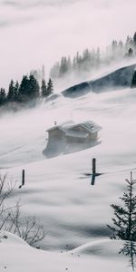 Trees,Snow,Fog,Elevation,Nature,Lodge,Small House