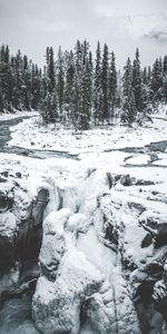 Trees,Snow,Forest,Snow Covered,Snowbound,Nature,Ice