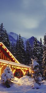 Trees,Snow,Landscape,Nature,Houses