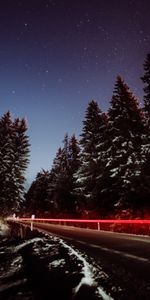 Trees,Snow,Long Exposure,Night,Dark,Road