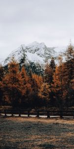 Trees,Snow,Mountain,Road,Fence,Nature