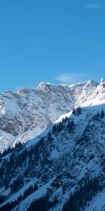 Naturaleza,Árboles,Nieve,Montaña,Pendiente,Cuesta,Paisaje