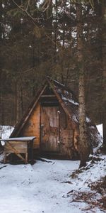 Forêt,Nature,Neige,Structure,Arbres