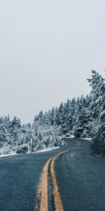 Naturaleza,Árboles,Nieve,Camino,Nevado,Cubierto De Nieve,Dahl,Distancia,Sinuoso,Devanado