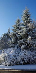 Briller,Lumière,Route,Vélizy Vilacoublé,Velizi Vilacuble,Nature,Arbres,Neige,Signe,France