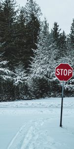 Trees,Snow,Stop,Words,Nature,Sign