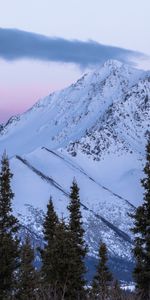 Trees,Snowbound,Snow Covered,Nature,Mountains,Snow,Landscape