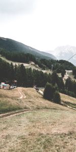 Trees,Southern Alps,Structure,Mountains,Nature