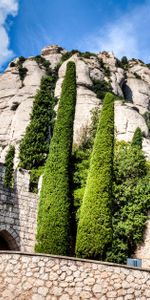 Montserrat,Catalogne,Nature,Arbres,Espagne