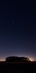 Trees,Starry Sky,Nature,Night,Horizon