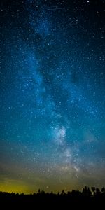 Trees,Stars,Starry Sky,Universe,Dark