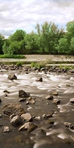 Trees,Stones,Mountain River,Nature