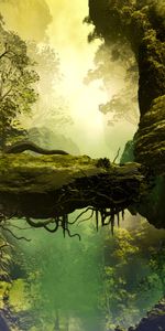 Trees,Stones,Rock,Fog,Roots,Realism,Landscape,Painting,3D