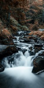 Trees,Stones,Rocks,Waterfall,Flow,Stream,Nature