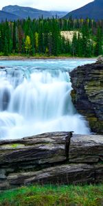 Trees,Stones,Rocks,Waterfall,Stone,Nature