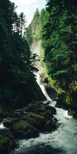 Trees,Stones,Waterfall,Nature,Forest