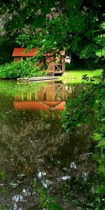 Árboles,Pequeña Casa,Logia,Atracar,Verano,Lago,Reflexión,Muelle,Naturaleza