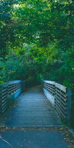 Trees,Summer,Path,Bridge,Trail,Nature