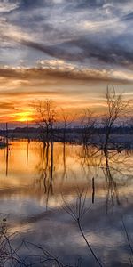 Trees,Sun,Clouds,Spill,Nature,Sunset,Overflow,Spring