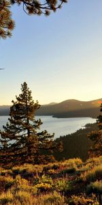 Trees,Sun,Lake,Beams,Rays,Hills,Nature