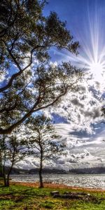 Trees,Sun,Lake,Shore,Bank,Shine,Light,Serenity,Nature