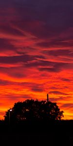 Nature,Ardent,Nuages,Arbres,Coucher De Soleil