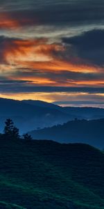 Trees,Sunset,Dusk,Hills,Dahl,Nature,Twilight,Distance