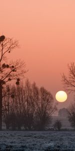 Trees,Sunset,Fog,Nature,Africa