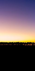 Grandes Lignes,Contours,Soir,Ramer,Arbres,Coucher De Soleil,Horizon,Sombre,Ligne