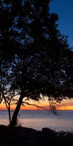 Trees,Sunset,Horizon,Water,Sea,Dark,Silhouettes