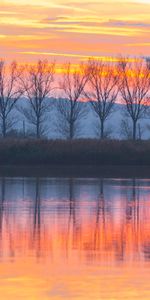 Trees,Sunset,Lake,Reflection,Nature