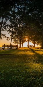 Arbres,Coucher De Soleil,Paysage