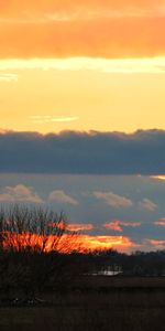 Nuages,Arbres,Coucher De Soleil,Paysage