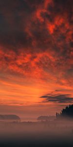 Paysage,Arbres,Les Champs,Coucher De Soleil