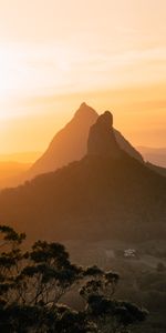 Montagne,Retour Au Début,Nature,Sommet,Brouillard,Coucher De Soleil,Arbres