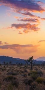 Naturaleza,Árboles,Montañas,Valle,Puesta Del Sol