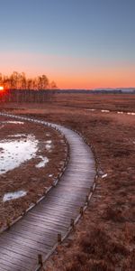 Trees,Sunset,Path,Nature,Grass,Wood,Wooden