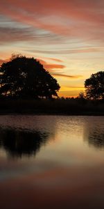 Réflexion,Soir,Arbres,Nature,Lac,Coucher De Soleil