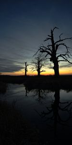 Réflexion,Arbres,Nature,Coucher De Soleil,Silhouette