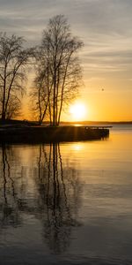 Nature,Arbres,Réflexion,Lac,Coucher De Soleil,Eau