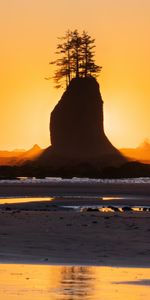 Trees,Sunset,Rock,Silhouette,Nature,Coast