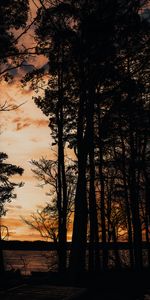 Trees,Sunset,Sea,Pier,Silhouette,Dark