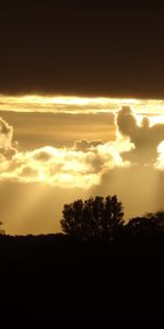 Trees,Sunset,Silhouette,Rays,Beams,Nature