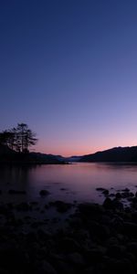 Trees,Sunset,Sky,Horizon,Lake,Nature